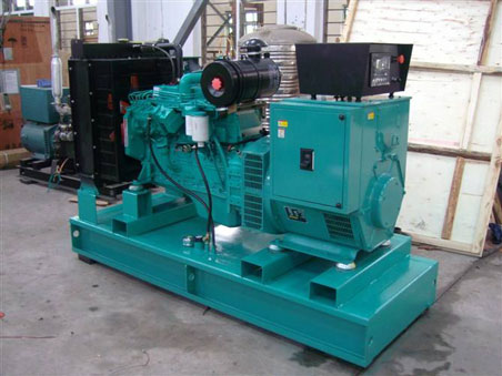 仁和200kw康明斯柴油发电机组图片 仁和200kw康明斯柴油发电机组图片